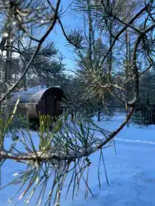 Лесная пристань - 19