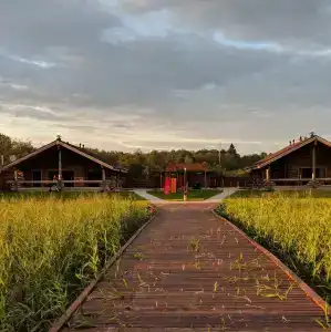 Freegreen cottages - 7