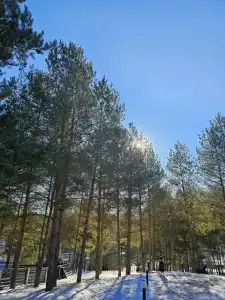 Гостевой дом Барн с видом на лес - 54