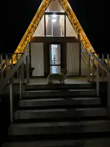 Лесная сказка - 55