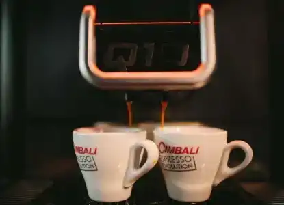 Бельведер Невский - 71