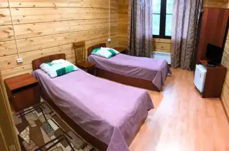 Кица ДСС - 33