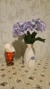 Свирский Пляж - 31