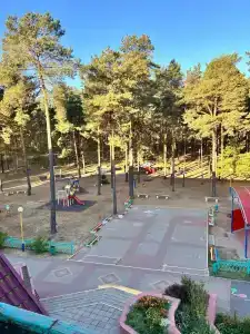 Пралеска - 4