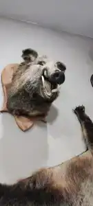 Королевская охота - 39