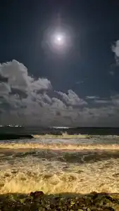 Palace Beach Resort - 99