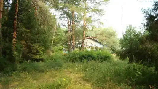 Ласточка - 8