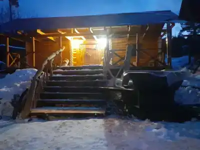 Львиное сердце - 11
