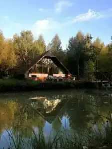 Мультиферма - 54