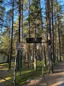 Лотос - 12