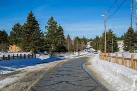 Uludag Orman Koskleri - 6