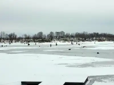 ГринЛандия - 96