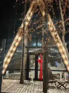 Магия леса - 19