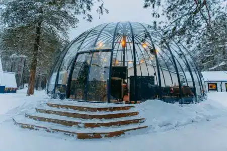 Хвоя, Карелия - 44