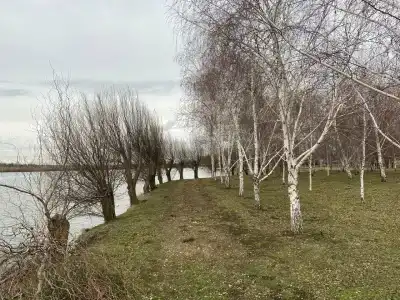 Атаман Платов - 15