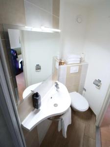 ibis budget Blois Centre - 74