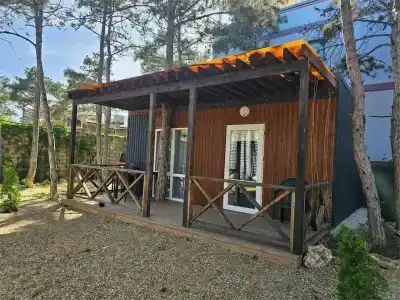 Песчаный берег - 62