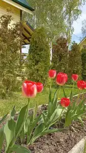 Лукино-Парк - 4