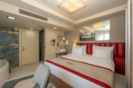 Ramada by Wyndham Istanbul Pera - 87