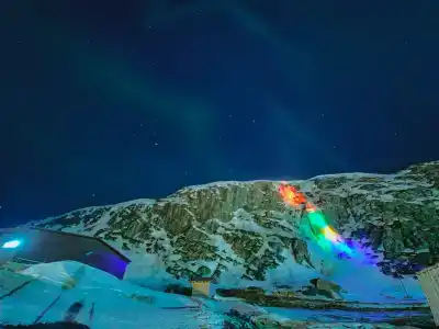 Cedar Grass Териберка - 47