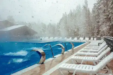 Хвоя, Карелия - 35