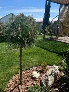 Вилла Гармония - 67