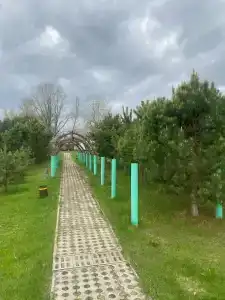 Самовар - 7