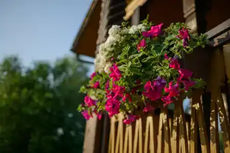 Юрьевское подворье - 47