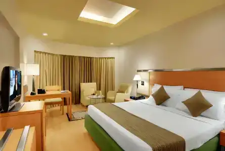 The Residency, Chennai - 71