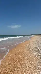 Оливия - 31