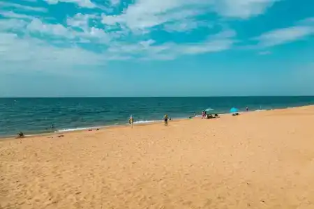 Розмарин - 3