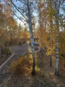 Альянс - 4
