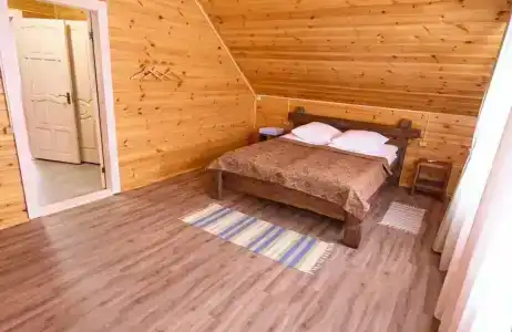 Dмитриевский - 54