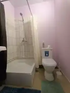 Аист - 42