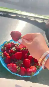 VillaSunriseKerch - 83