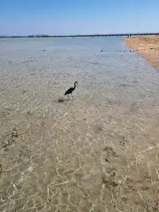 Titanic Palace - Families and Couples only - 73