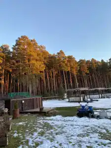 Magic Wood - 37