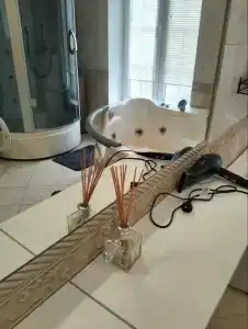 Королевская звезда - 32