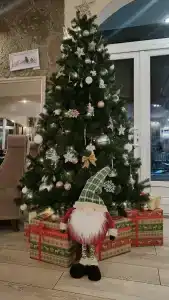 Репинская - 29