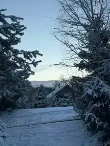 Медвежье урочище - 2