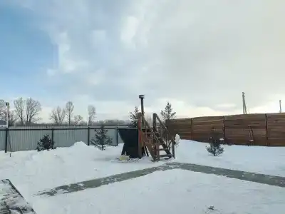Сова - 38