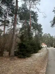 Политехник - 27