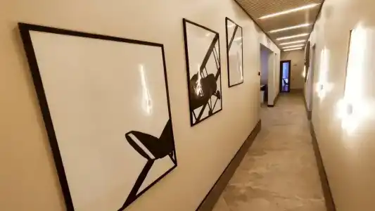 Родина Аэро - 15