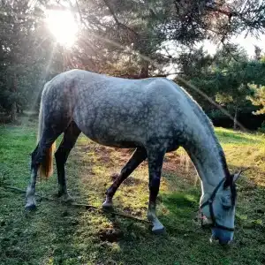 Круиз Вилладж - 73