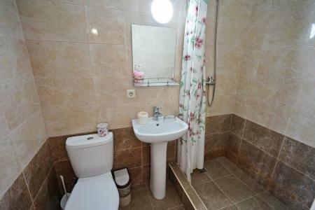 Пальмира - 83