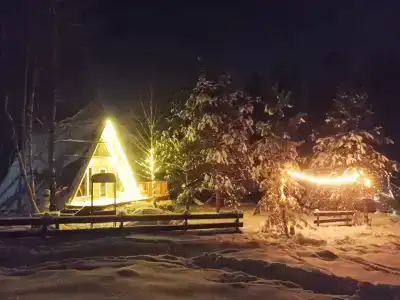 Хвойный парк - 49