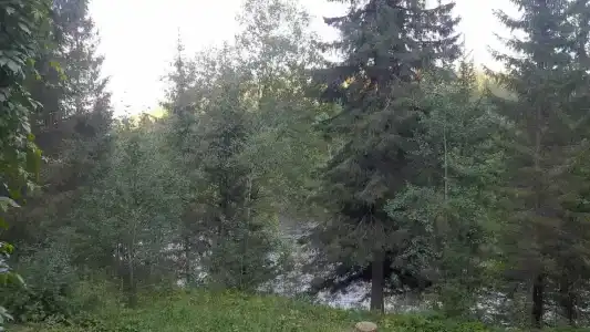 Горная Поляна - 23