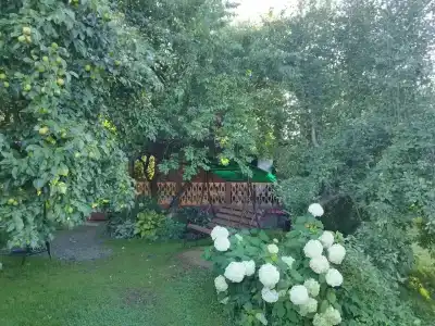 Усадьба Сафроновых - 9