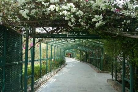 Bel Air Azur Resort (Adults Only) - 83