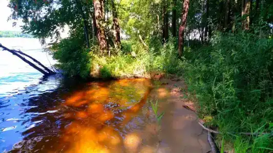 Волна - 25